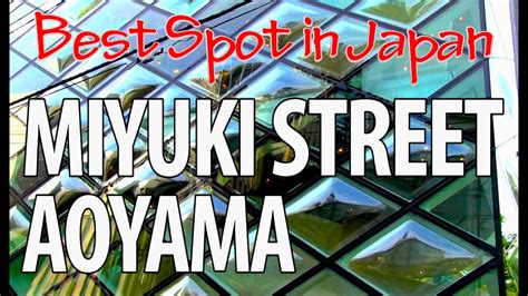 miyuki street aoyama